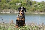 BEAUCERON 633